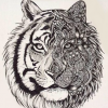 silver_tiger
