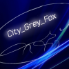 City_Grey_Fox