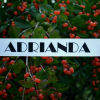 Adrianda