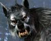 HellWerewolf666