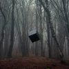 _a lonely cube_