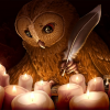 Owl_Marihuana