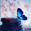 Butterfly_Effect
