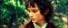 Frodo Beggens
