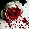 Роза крови