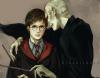 Harry Potter and Volan de Mort