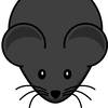 Grey_mouse20