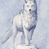 White_loner_wolf