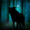 The_Wolf_Of_The_Darkness