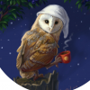 Night wind for owl
