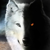 Fiery-White Wolf