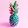 Pink_ananas