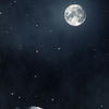 moonlight-moonshadow