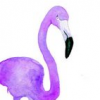 Purple Flamingo
