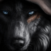 Werewolf148