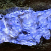 Blue Magma