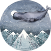 Lofoten Whale