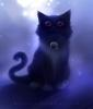 little_black_cat