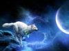 white wolf servant of the moon