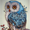 _Turquoise owl_