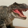 Kotozavr_Rex