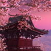 Sakura Flower Magic