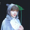 soft sewoon