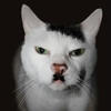 evil_cat_Hitler2