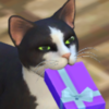 Sims Cats