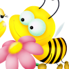 Пчёлка для Касси