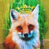 Foxve