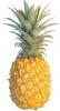 bmb_pineapple