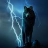 Thunder_Wolf