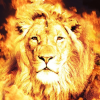 Пламенный Лев