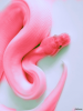 Розовая Змея