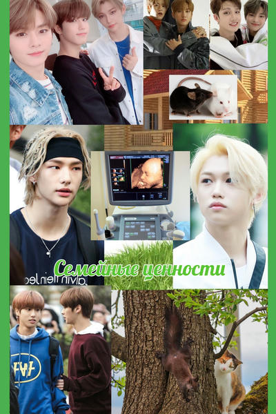  Stray Kids -    pt5 - Wattpad