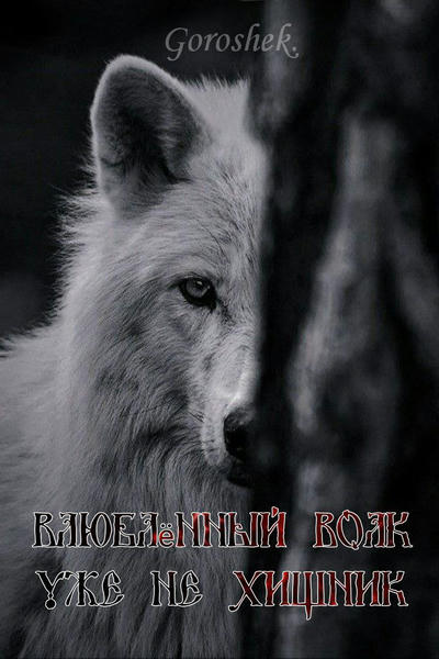 Влюблённый волк уже не хищник