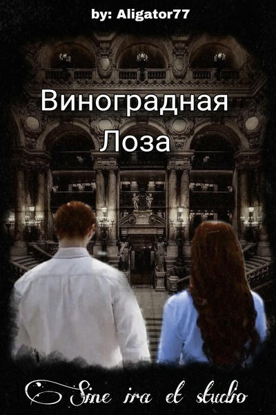 Похоже на Гарри Поттера - 6