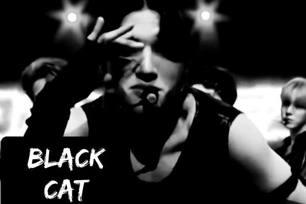 Black Cat Nero