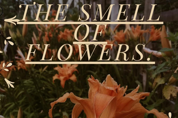 The smell of flowers.