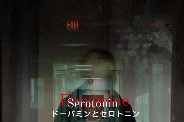 Дофамин и Серотонин