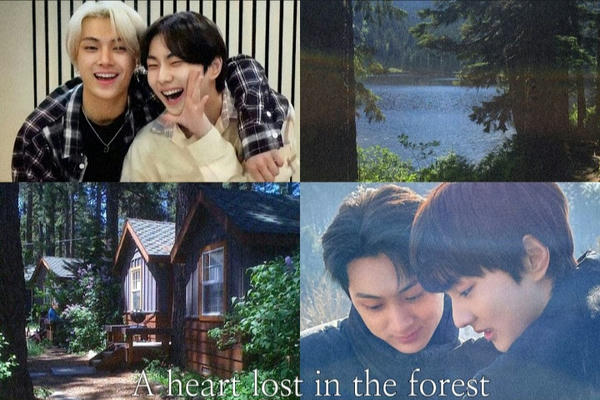A heart lost in the forest