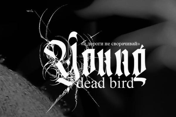 young dead bird
