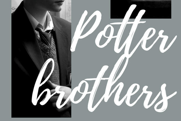 Братья Поттеры и волшебный мир