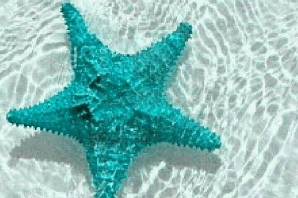 Star and starfish