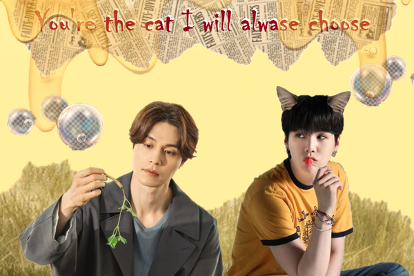 you're the cat i will alwayse choose