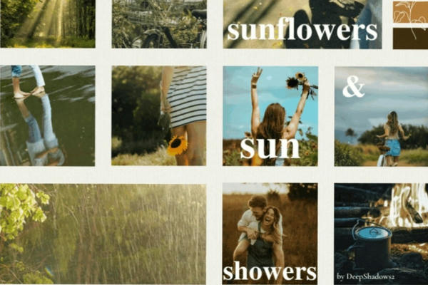 Sunflowers & Sunshowers/Подсолнухи под солнечными лучами