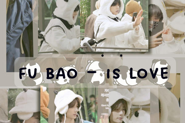 Fu Bao — is love