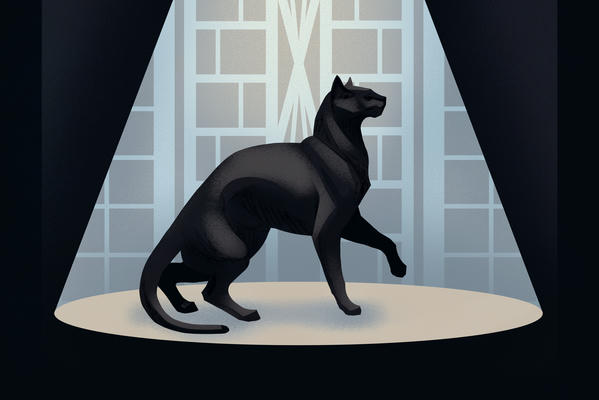 Черный кот, серебряная клетка