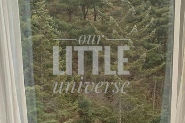 our little universe